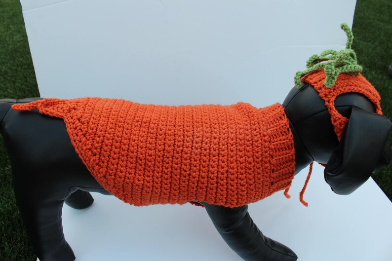 Dog Carrot Costume
 Carrot Pet Costume Halloween Dog Costume Made to Order Cat