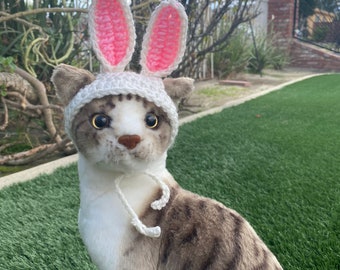 Easter cat hat, bunny cat hat, cat hat, silly hat, easter pet