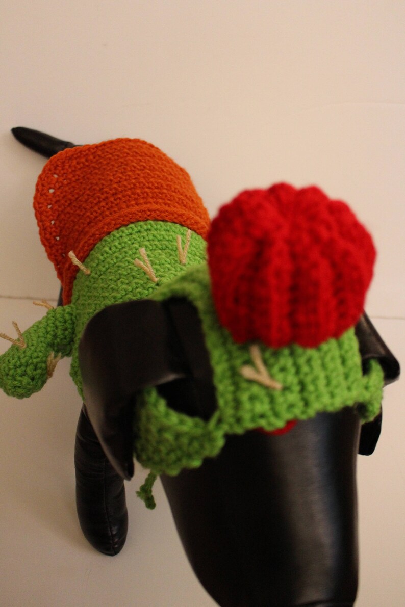 Cactus Dog Costume Halloween Dog Costume Made to Order Etsy