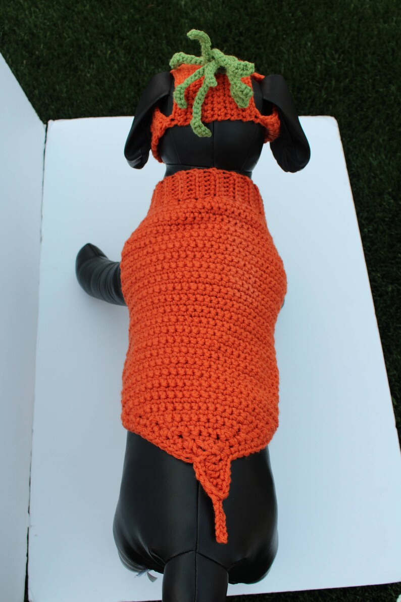 Dog Carrot Costume
 Carrot Pet Costume Halloween Dog Costume Made to Order Cat