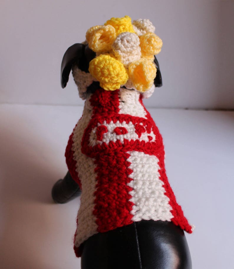 Popcorn Bag Dog Costume Halloween Costume Movie Lovers Cat Etsy