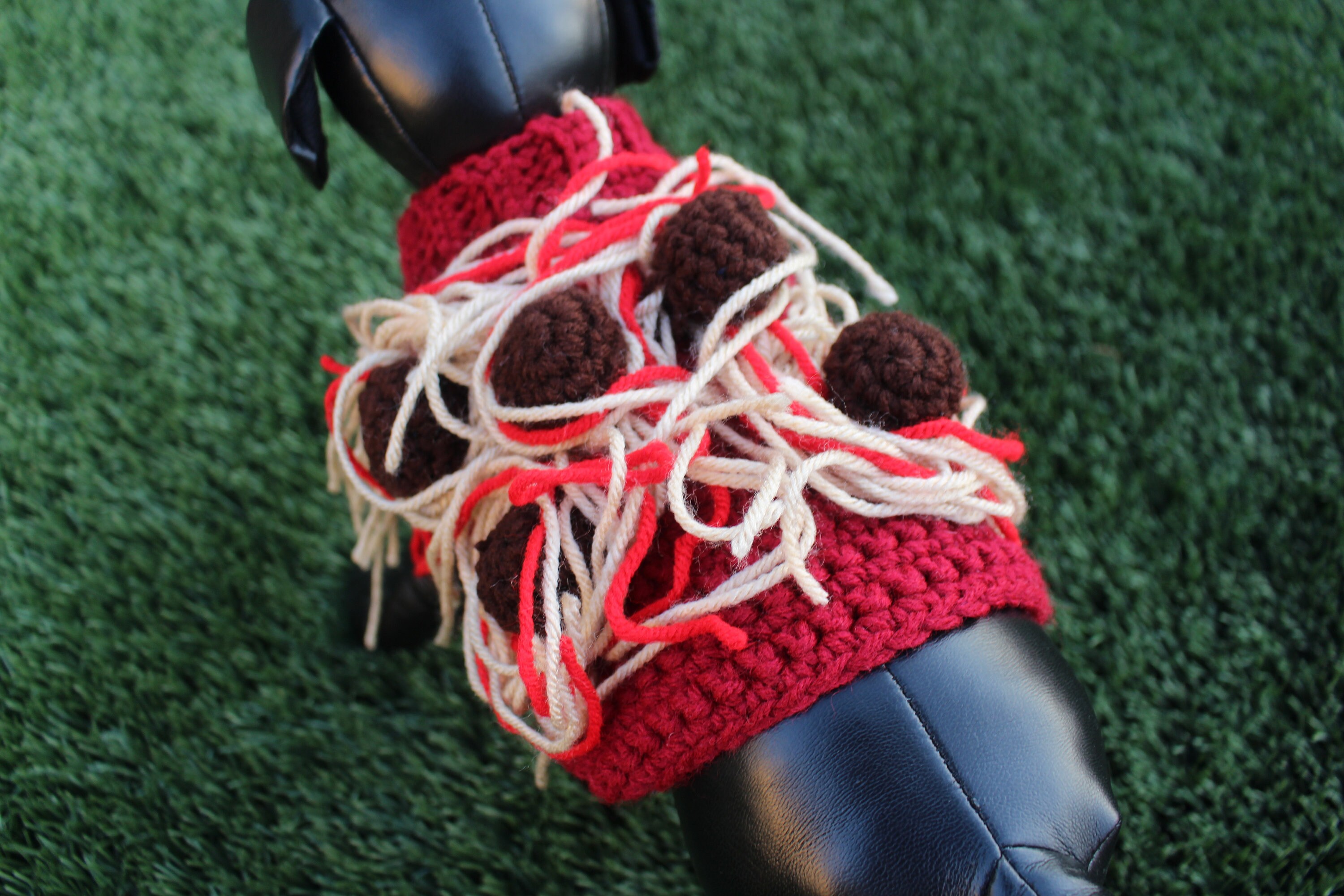 Spaghetti Costume Halloween Dog Costume Made to Order Etsy