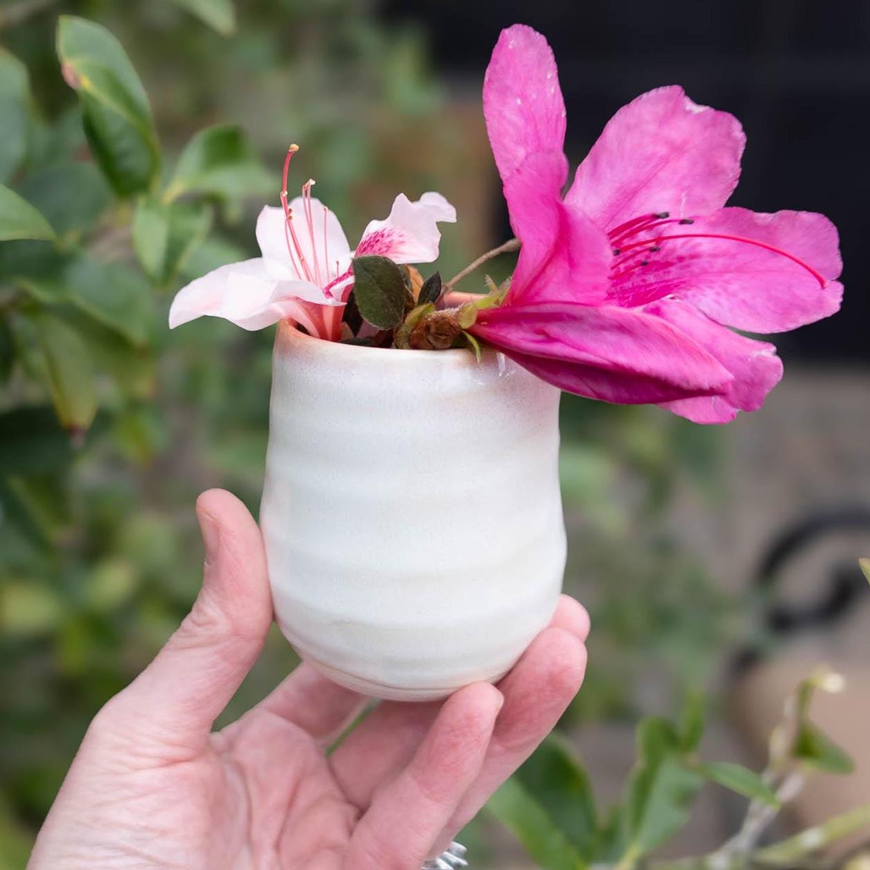 Pink and White Porcelain Bud Vase | Handmade Pottery | Mini Vase for ...