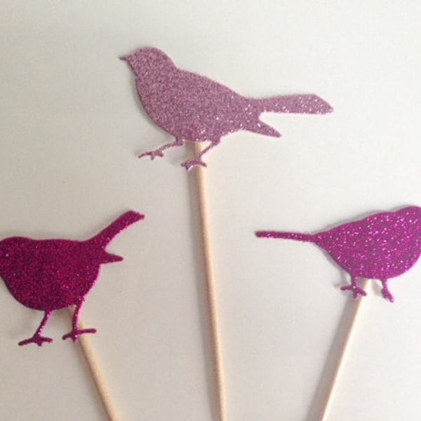 Bird Party Cupcake Toppers, Birthday, Wedding party or Baby Shower