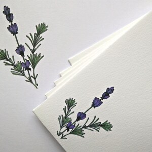 A5 Writing Paper and Co-ordinating Envelope Packs Rose Hips, Harebells and Lavender Designs image 4