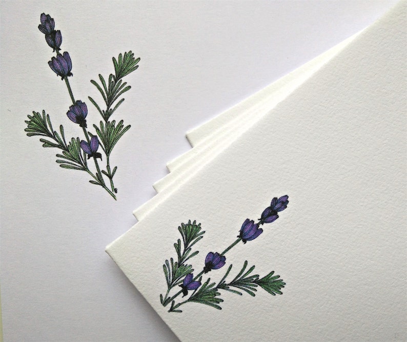 A5 Writing Paper and Co-ordinating Envelope Packs Rose Hips, Harebells and Lavender Designs image 4