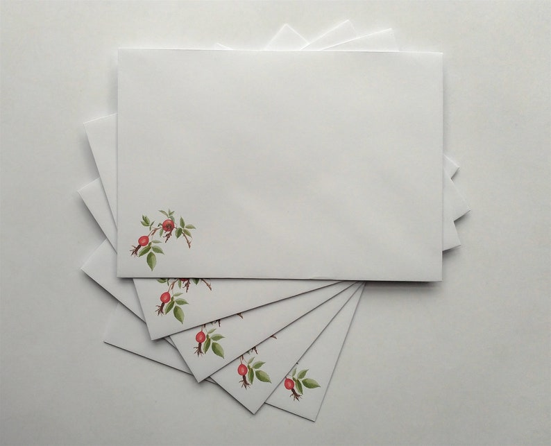 Rose hips writing paper and envelopes writing set in beautiful etsy