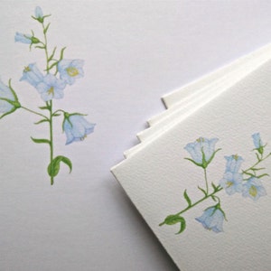 A5 Writing Paper and Co-ordinating Envelope Packs Rose Hips, Harebells and Lavender Designs image 3