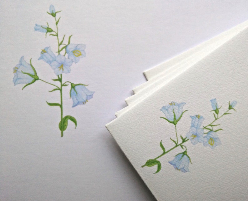 A5 Writing Paper and Co-ordinating Envelope Packs Rose Hips, Harebells and Lavender Designs image 3