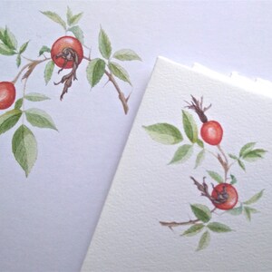 A5 Writing Paper and Co-ordinating Envelope Packs Rose Hips, Harebells and Lavender Designs image 2