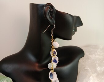 Groovy-Blue Mussel Seashell Dangles