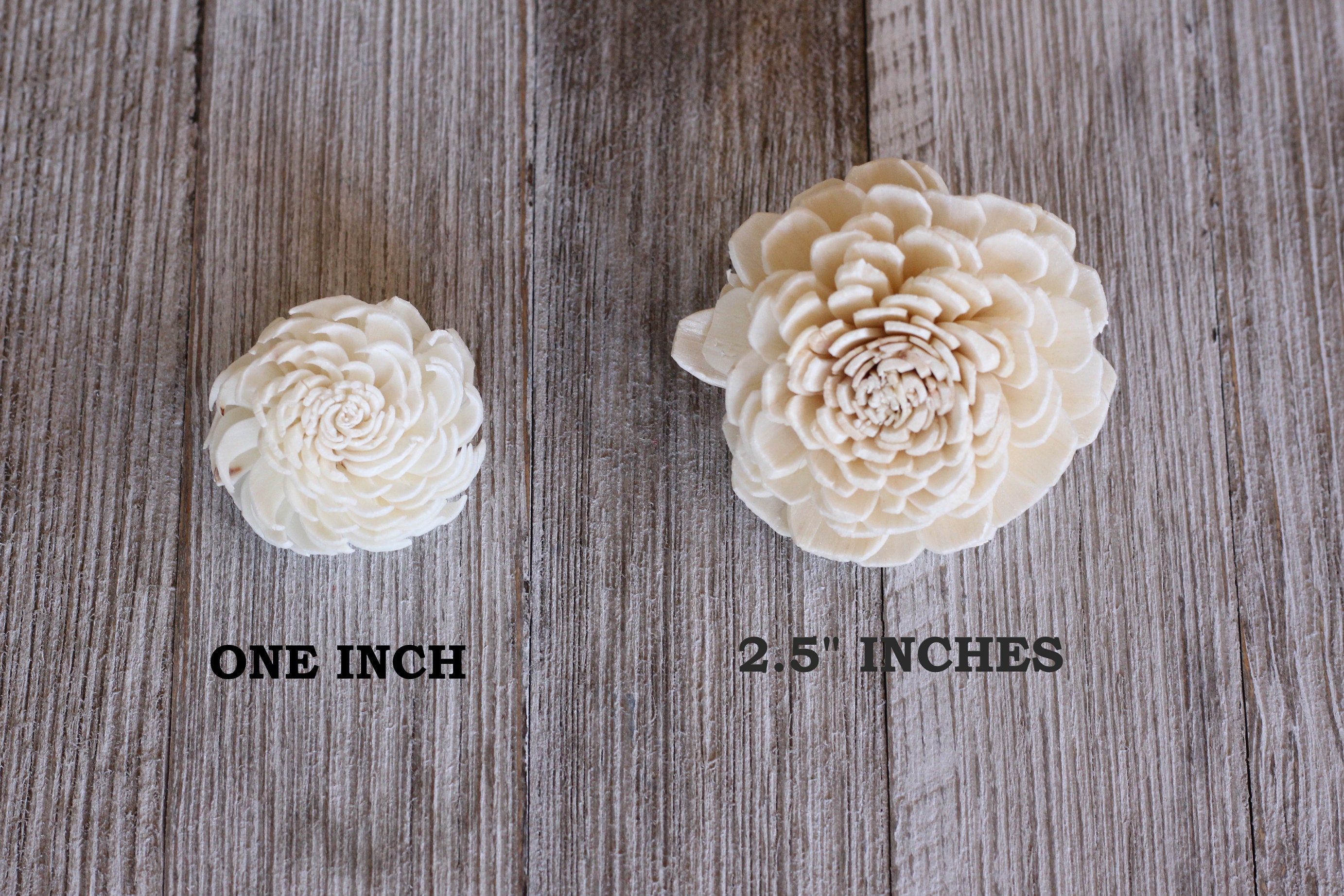 Sola Wood Flower Samples in Your Color Choice Etsy