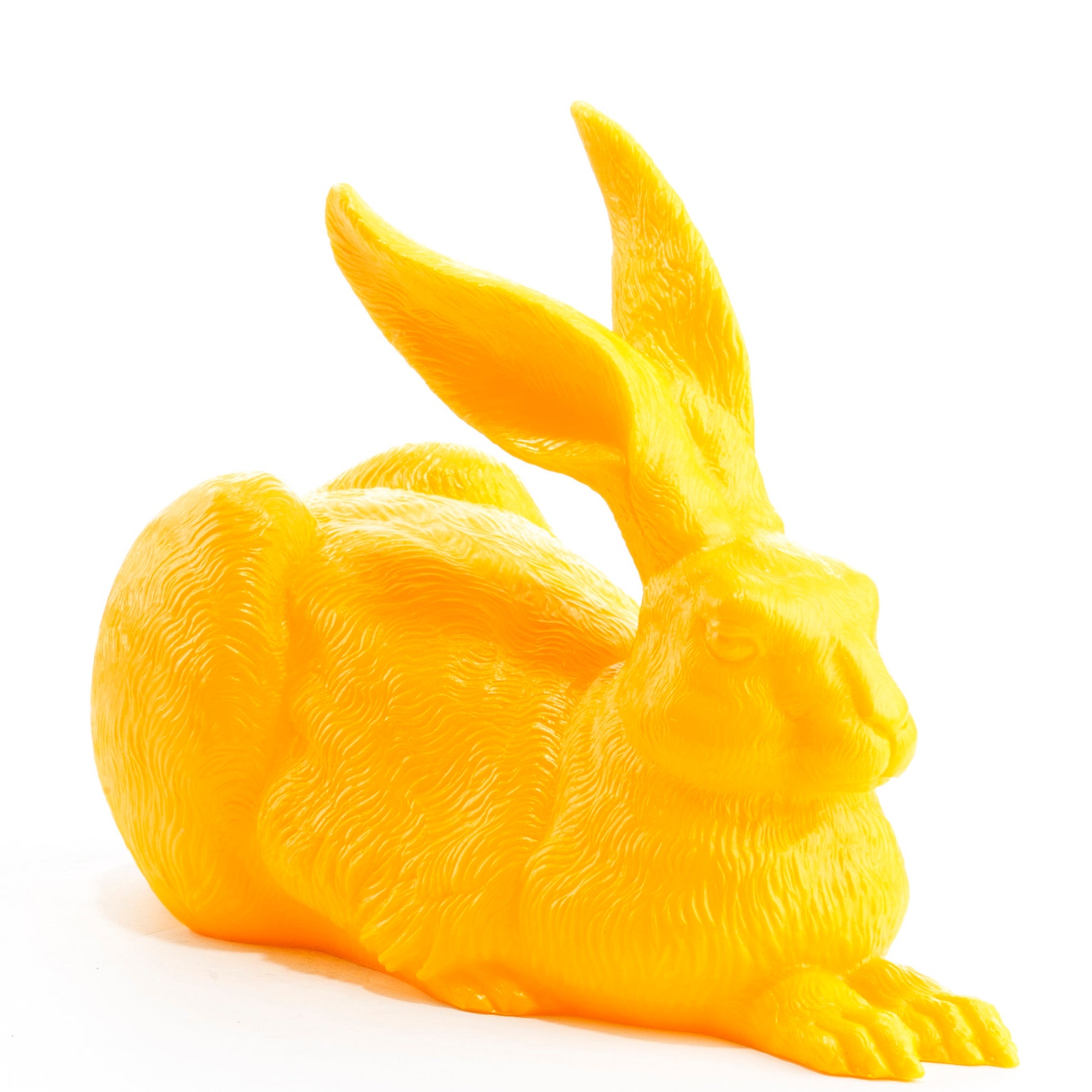 Albrecht Dürer Hare young Hare by Ottmar Hörl Etsy