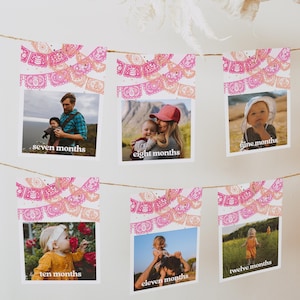 Fiesta Monthly Photo Banner, First Fiesta Birthday Banner, Photo Monthly Banner, Pink Fiesta Birthday Party, Girl&#39;s First Fiesta, Fiesta