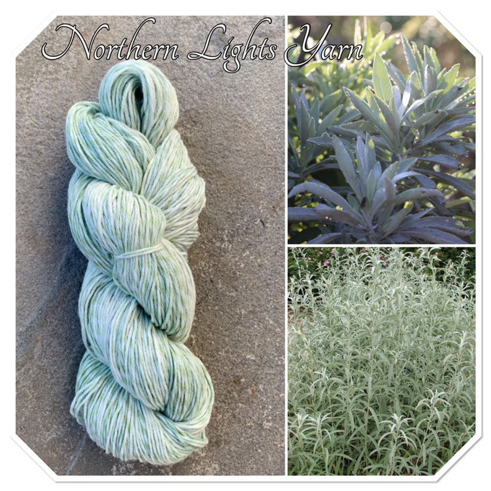 Sagehand dyed yarngradient yarnombre yarncotton yarnyarn Etsy