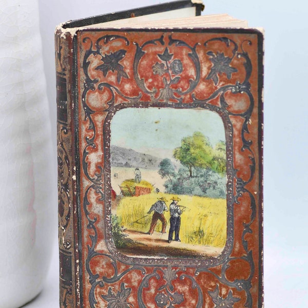 Les Deux Jumeaux, Timothee et Philmon, French Cartonnage Book