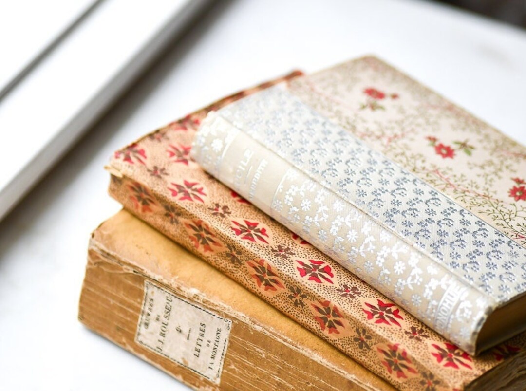 Decorative Old Books in French and English With Red Etsy