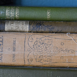 Old Shabby Book Collection for Home Interiors, Sylvestre Bonnard