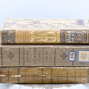 French Dictionnaire & Other Antique Decorative Books