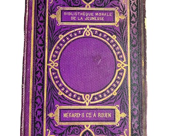 Deux Ans Dans L&#39;Inde, 1884, French Cartonnage