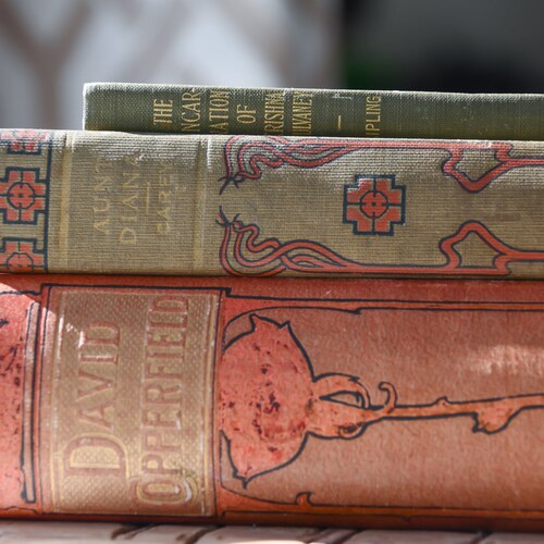 Collection of Literature shops in Red for Home Interiors, Charles Dickens