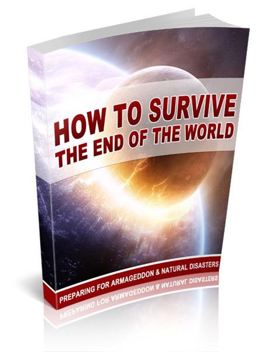 How to Survive the End of the World - Etsy