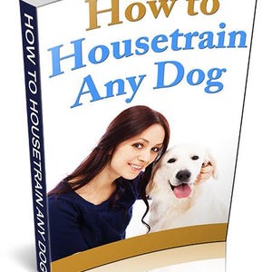 How To Housetrain Any Dog