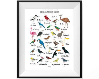 Bird Alphabet Chart Poster 18"x24"