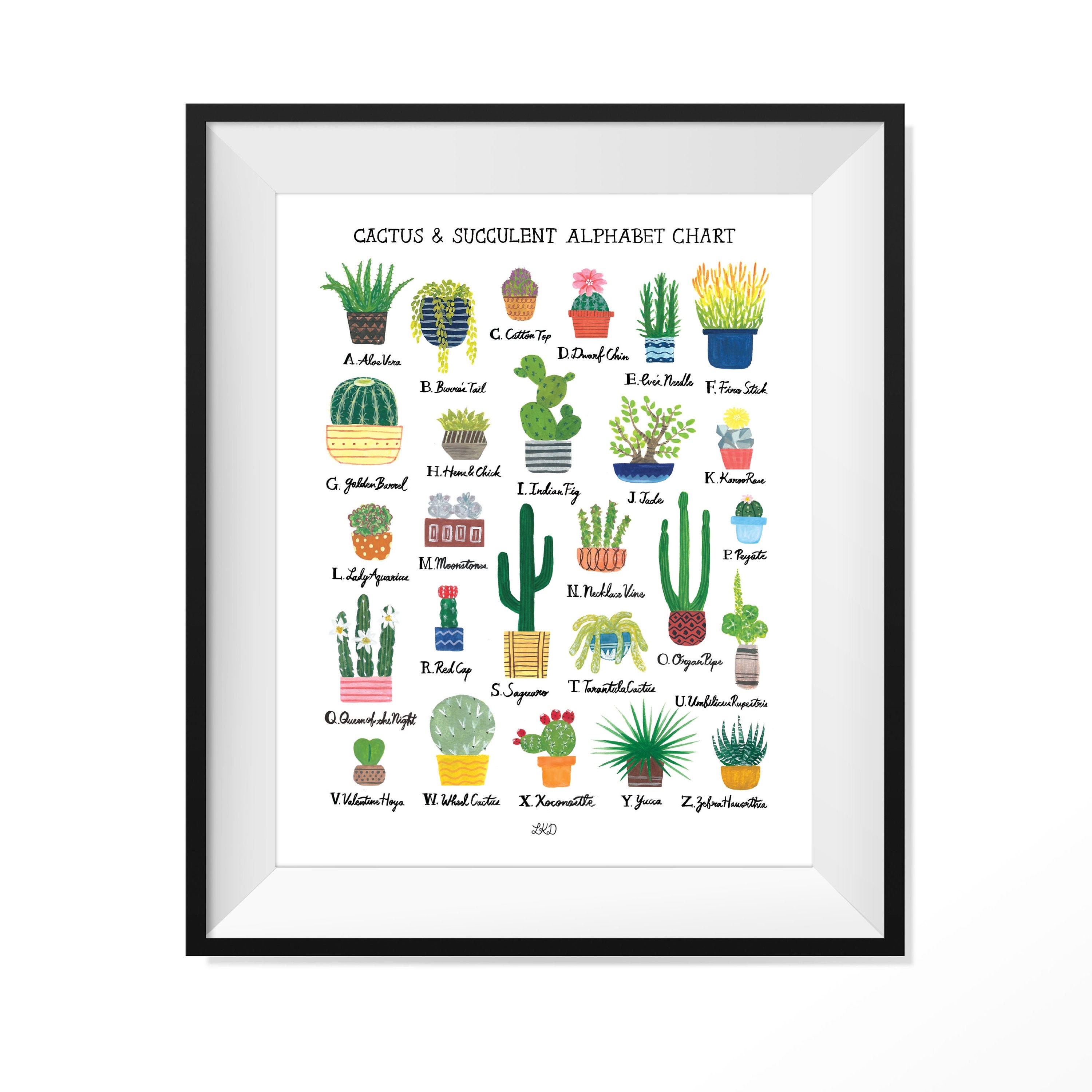 cactus succulent alphabet chart art print etsy