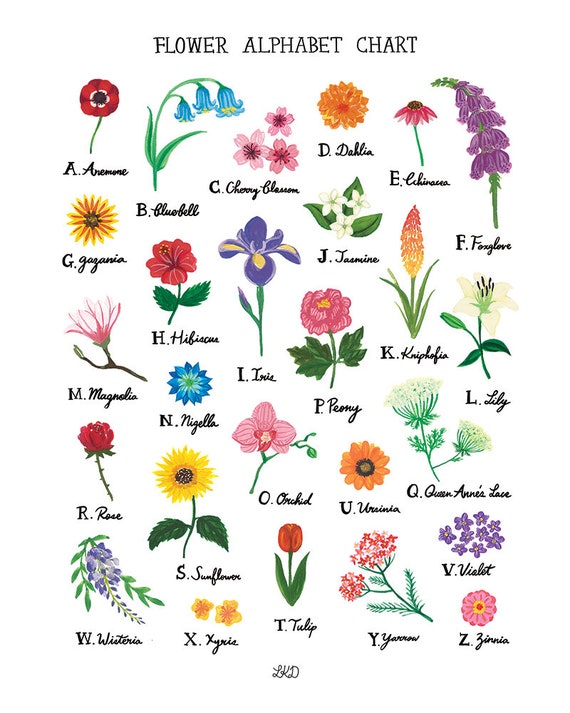 Flower Chart