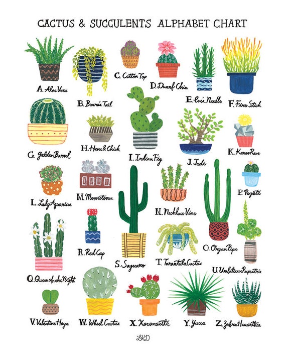 Succulent Name Chart