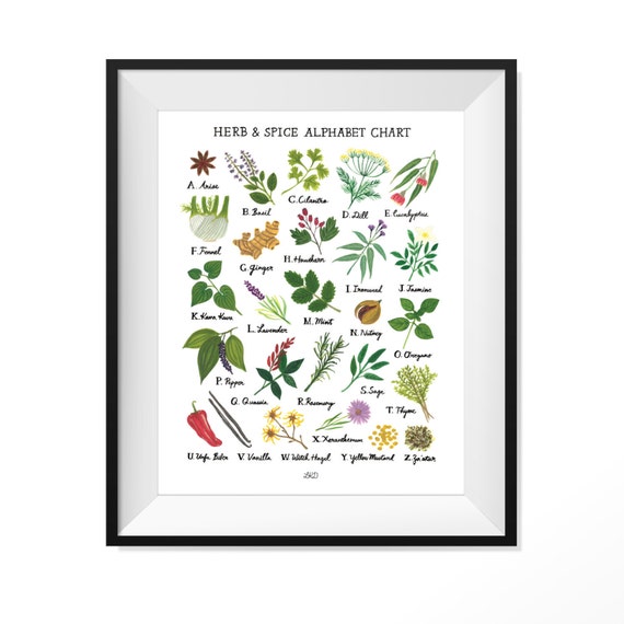 Herb And Spice Wall Chart