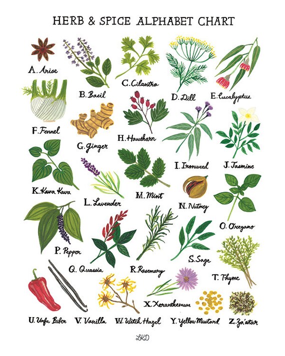 Herb Chart With Pictures