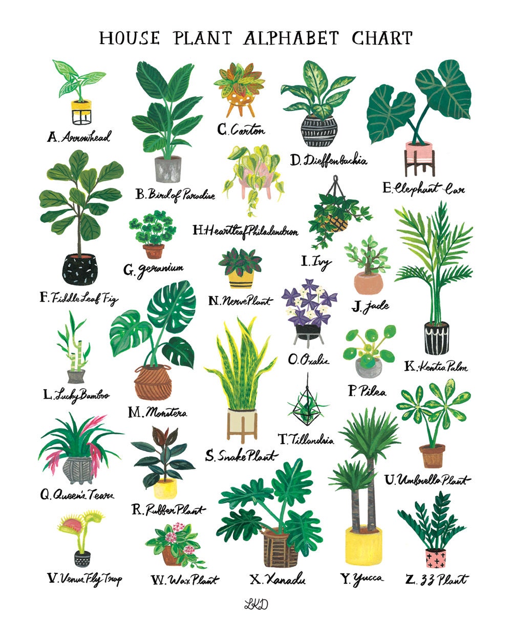 House Plant Alphabet Chart Art Print - Etsy Canada
