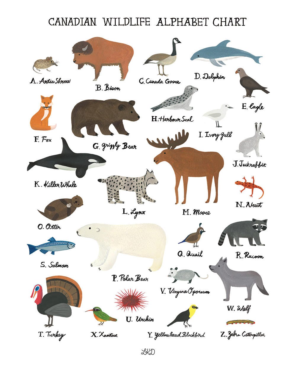 Canadian Wildlife Alphabet Chart - Etsy UK Canadian Wildlife Alphabet Chart - Etsy UK