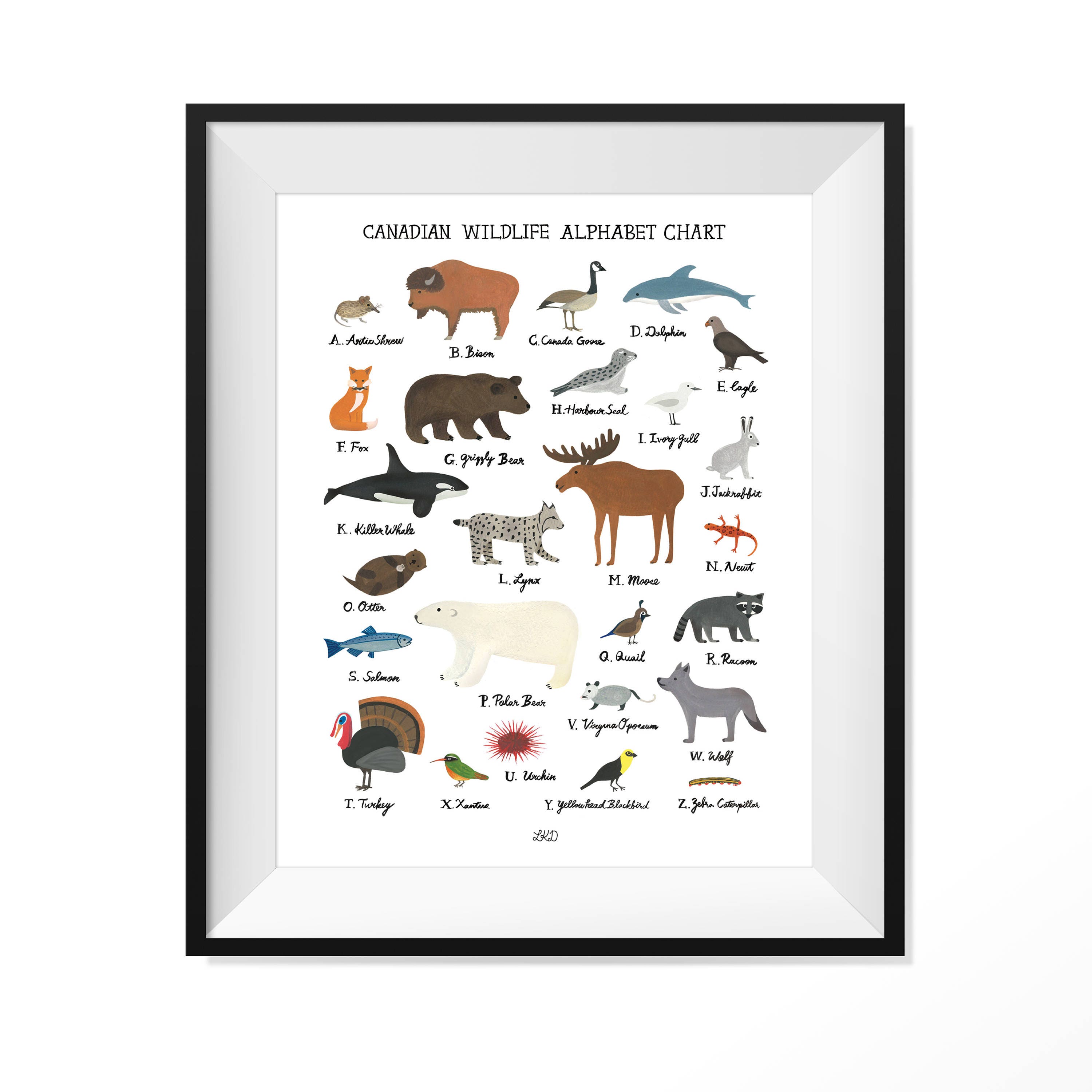 Canadian Wildlife Alphabet Chart - Etsy Canada