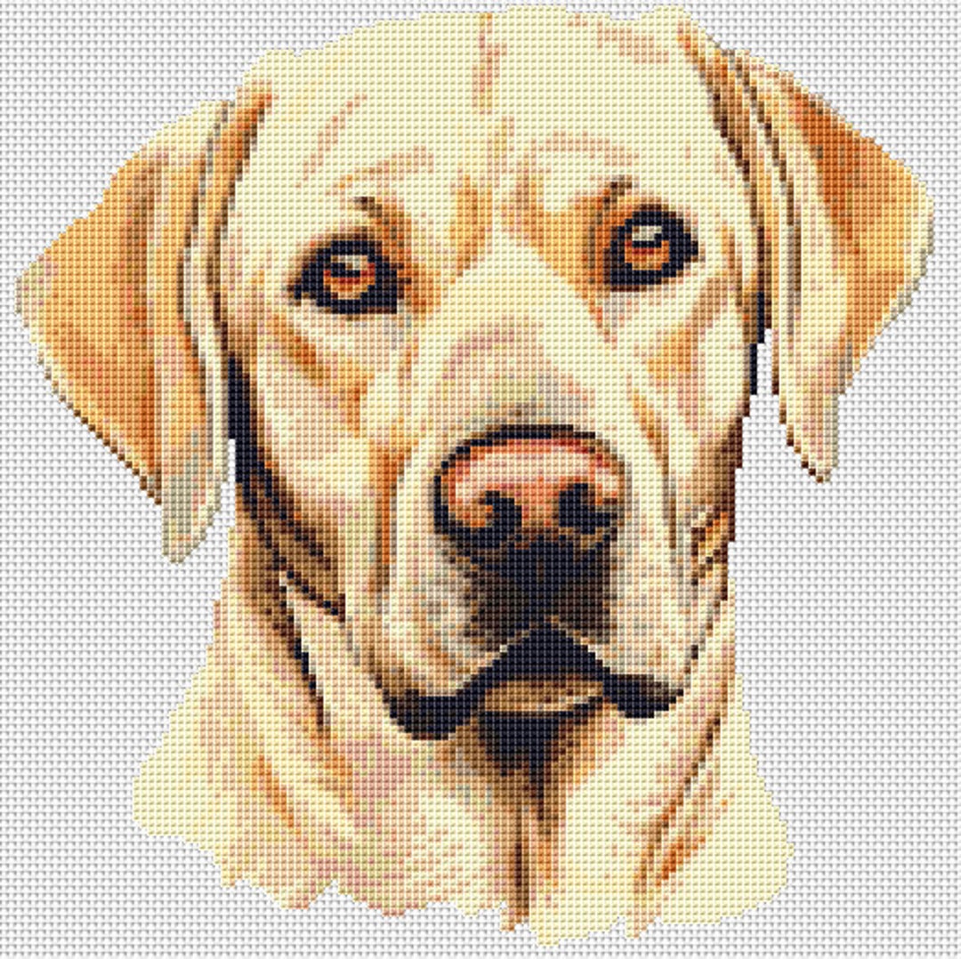 Yellow Labrador Retriever Cross Stitch Pattern - Etsy