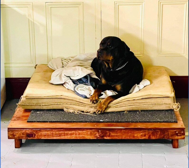 Wooden Elevated Raised Dog Bed Platform Handmade Etsy Australia