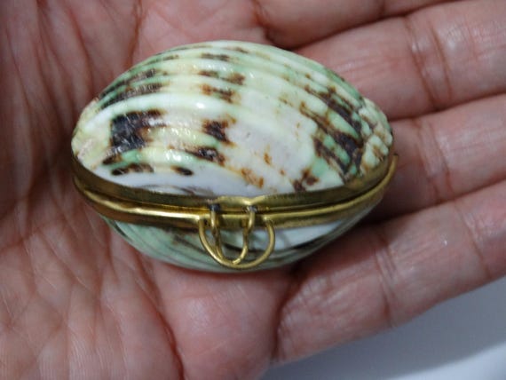 Seashell Small Trinket Box. - image 8