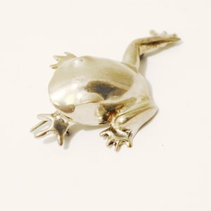 Broche estampado Sapo em prata esterlina TV-89 México.