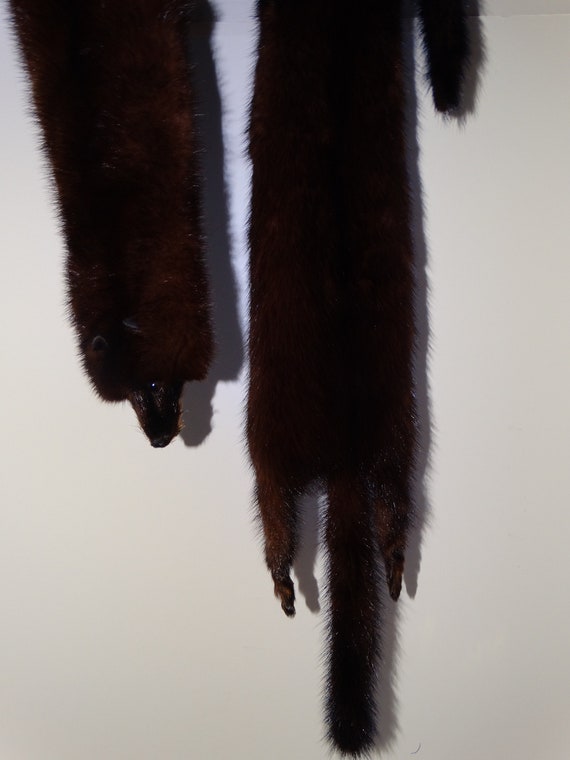 1950s Dark Brown Mink Stole - image 8