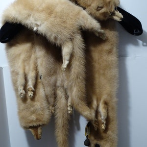 RARE Blond Genuine Mink Stole. image 7