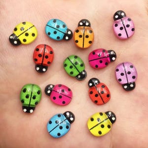 May include: Assortment of colorful ladybug shaped resin embellishments with black dots. The ladybugs are in various colors including red, yellow, green, blue, pink, and orange.