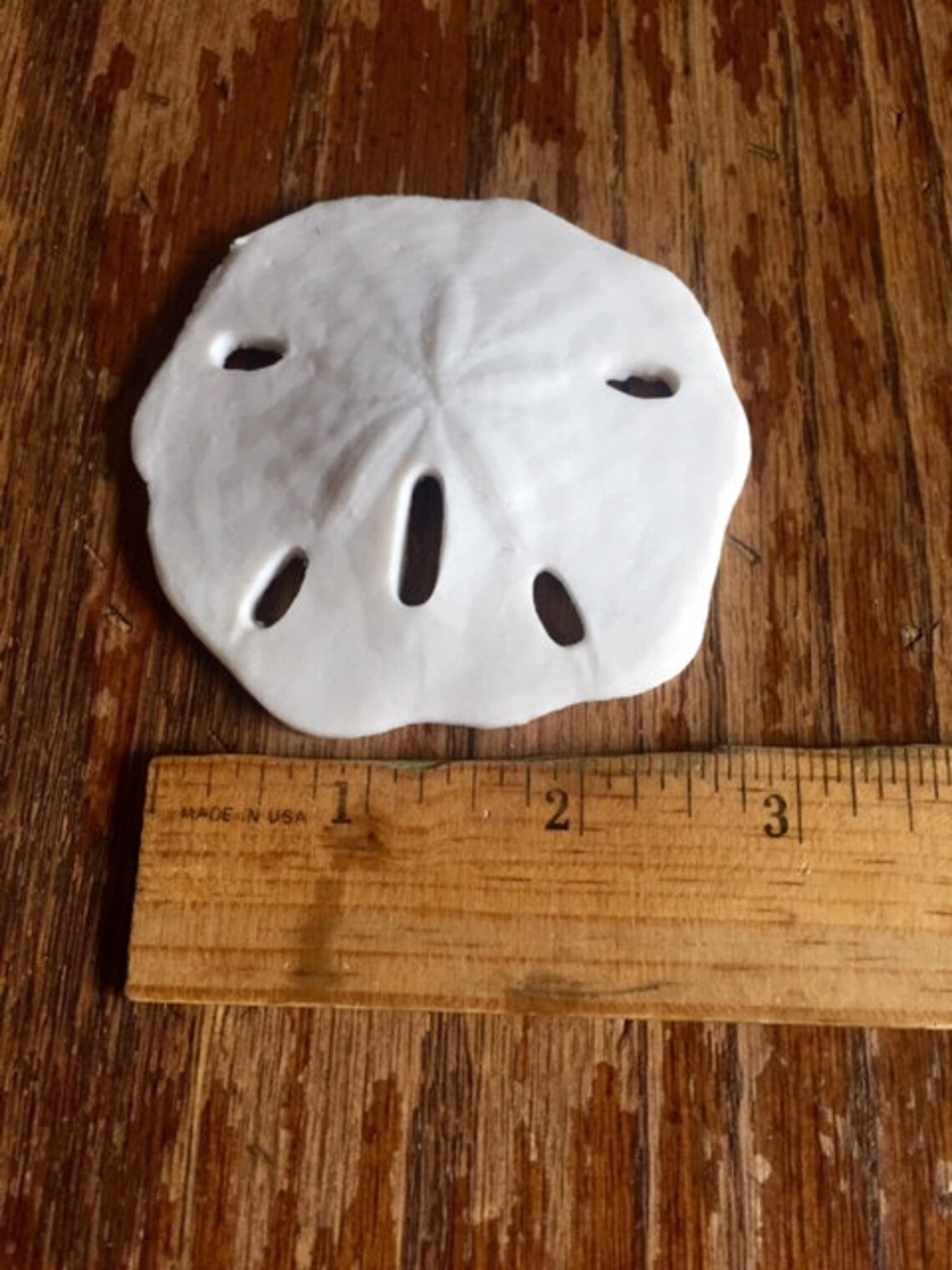 Sand Dollars Lot of 6 3 Diameter Resin Cruelty Free Sea Etsy