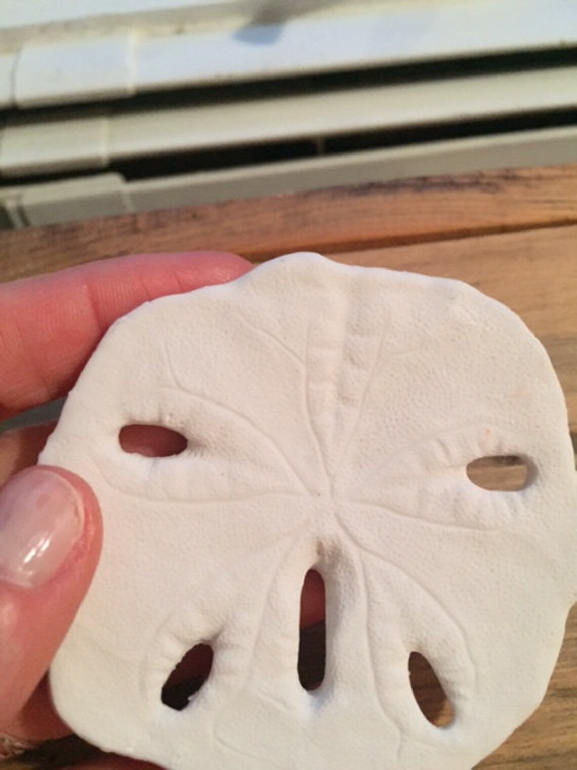 Sand Dollars Lot of 6 3 Diameter Resin Cruelty Free Sea Etsy