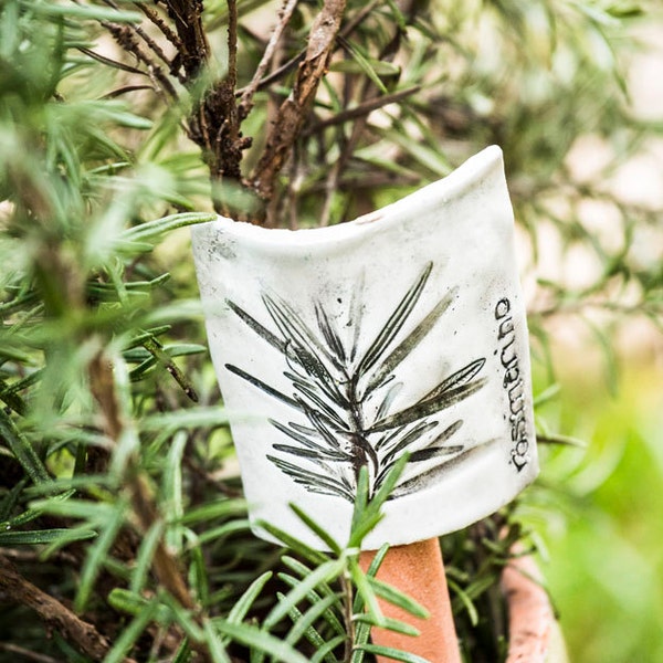 FOSSILIUM PLANTS - label in ceramics for aromatic plants.                                    FOTO by Matteo Carassale per Gardenia magazine.