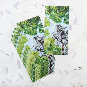 Tennessee Sky Vinyl Waterdichte Sticker