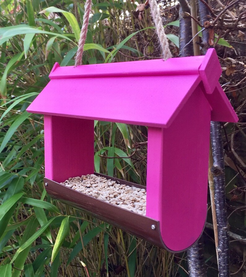 Hanging Bird Feeder Etsy