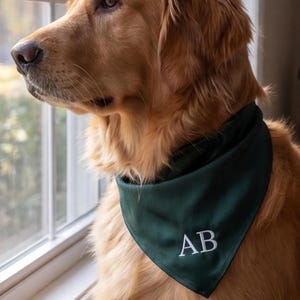 Peut inclure: Un golden retriever porte un bandana vert foncé avec les lettres blanches "AB" brodées. Le chien regarde par une fenêtre. Le bandana est de forme triangulaire. La fourrure du chien est éclairée par la lumière naturelle.
