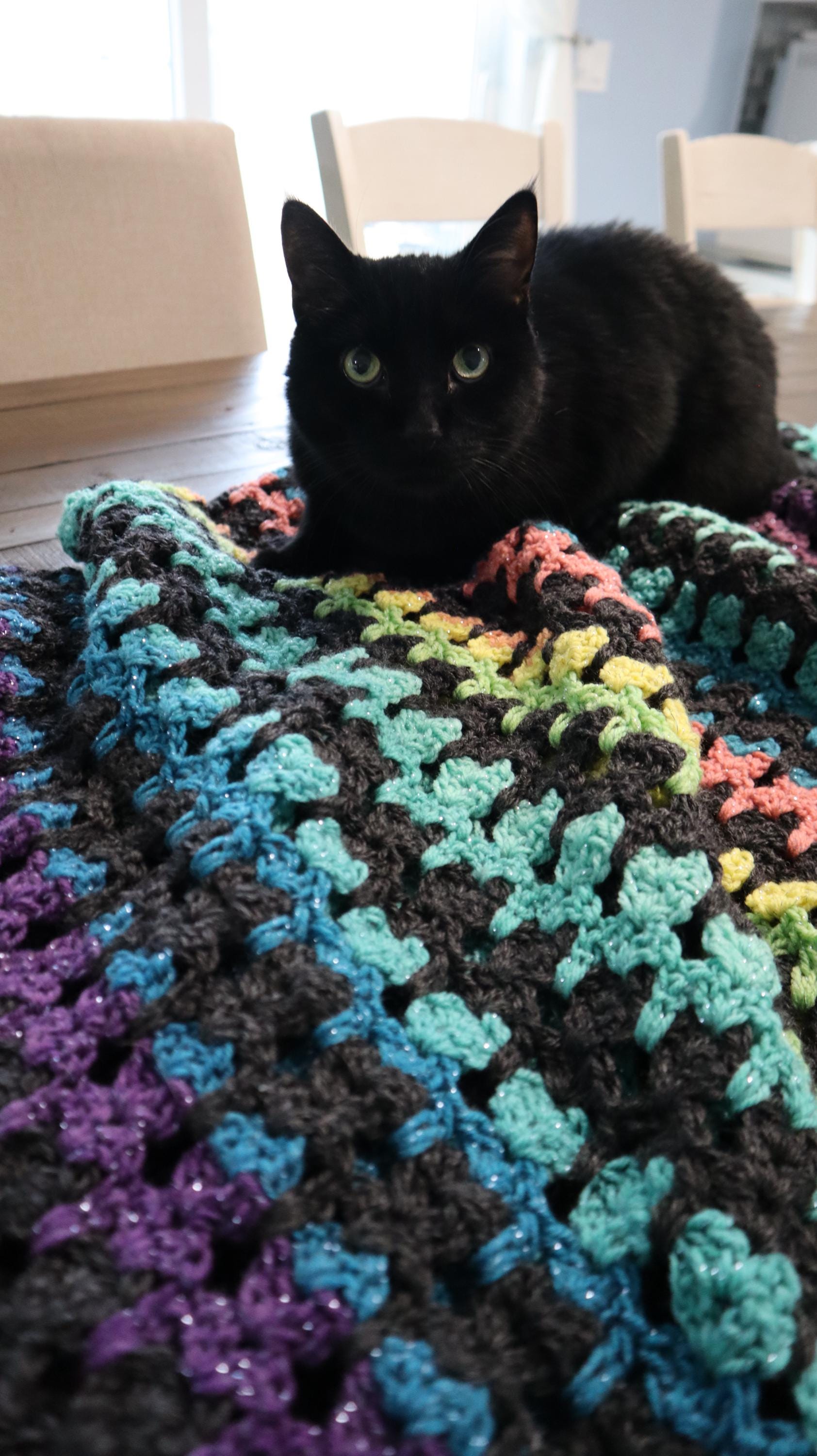 36 Cat Blanket Crochet Patterns: Cozy, Graphic, and Granny-Square Designs 27 Galaxy Cat Stitch Blanket Crochet Pattern Cat Lover